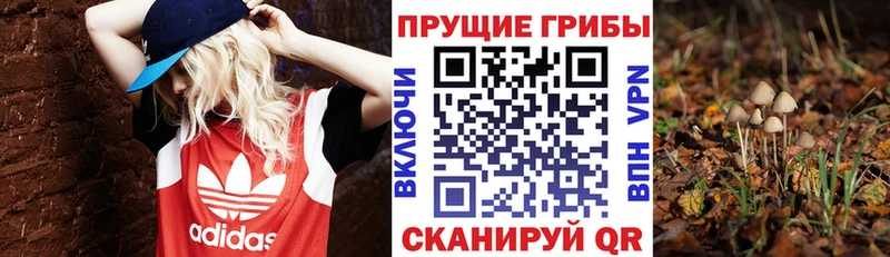 Псилоцибиновые грибы Psilocybine cubensis  Олонец 